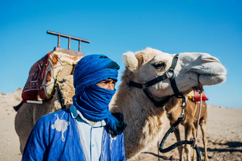 Balade Falaises et Océan en dromadaire à Dakhla