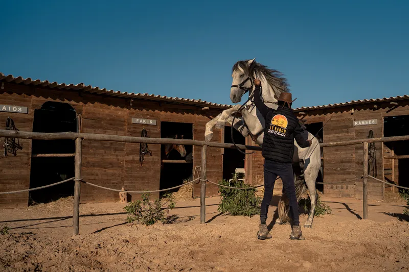 Cours d'équitation à Dakhla