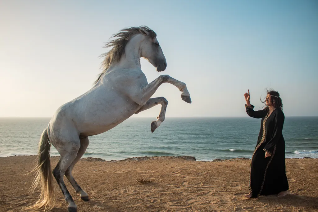 Shooting photo professionnel avec chevaux à Dakhla