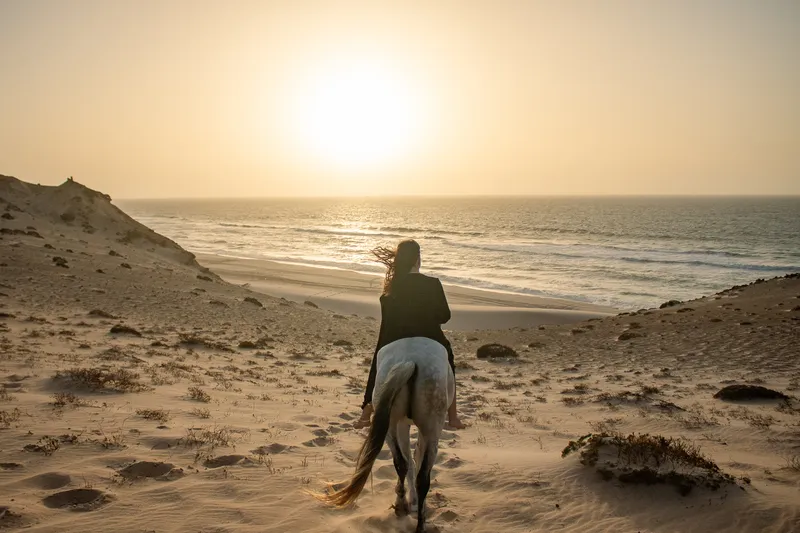 Cavaliers au coucher du soleil sur les falaises de Dakhla