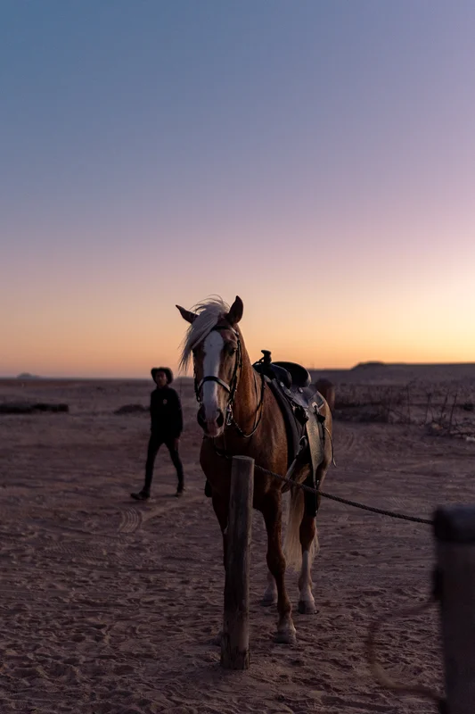 Silhouette d'un cavalier au coucher du soleil dans le désert de Dakhla