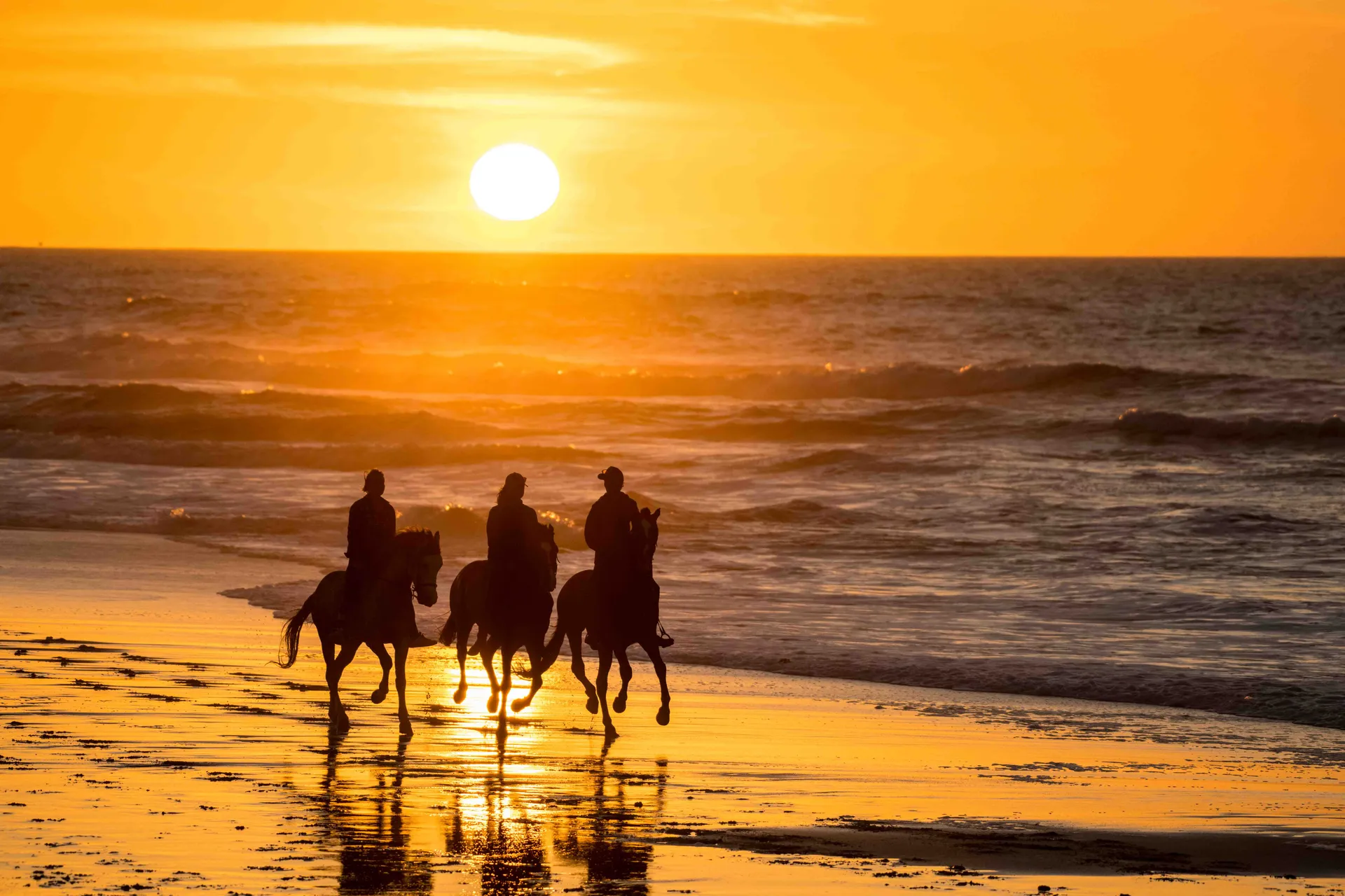 Cavaliers au coucher du soleil sur la plage de Dakhla