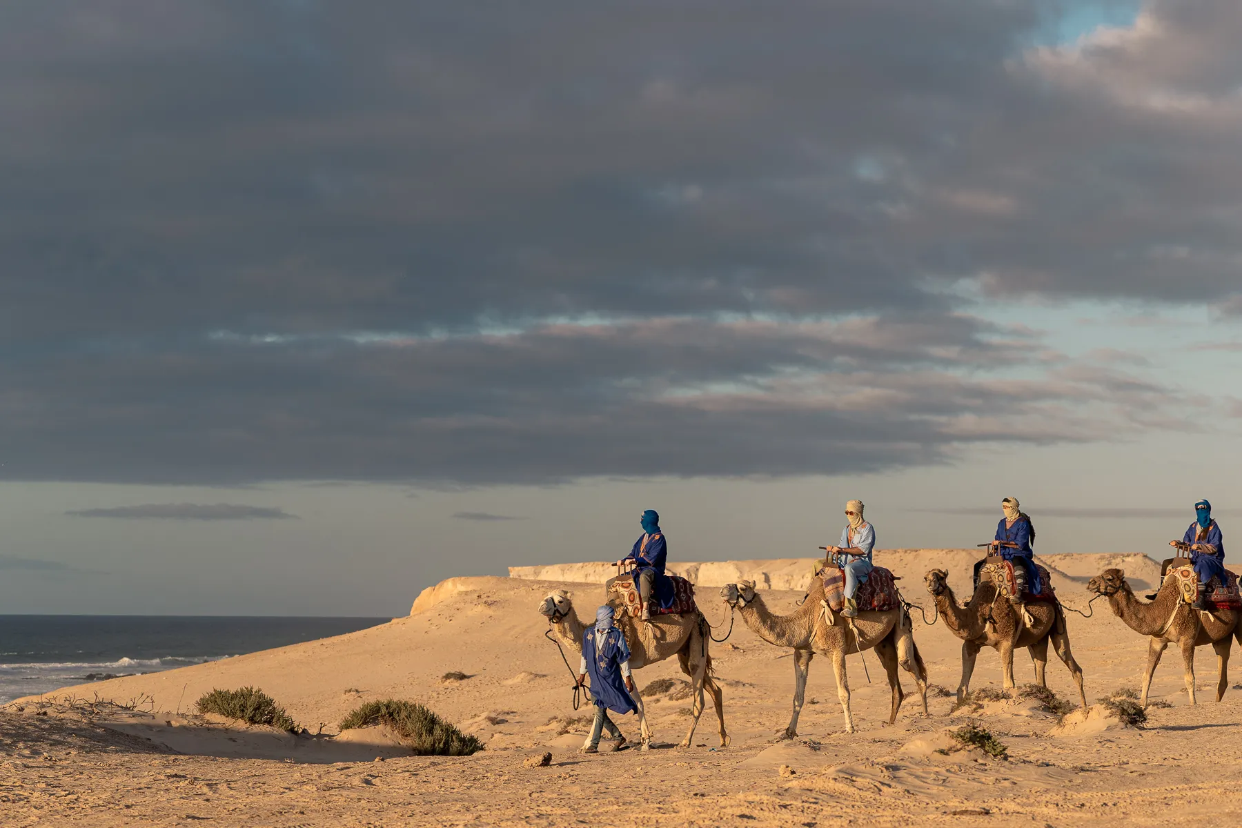 Famille sur un dromadaire dans le désert de Dakhla