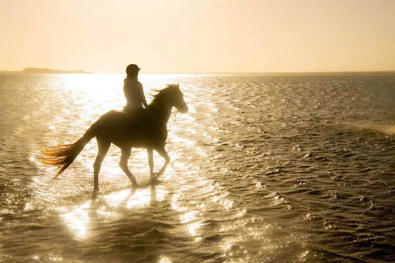 Sunset à cheval près de la lagune à Dakhla
