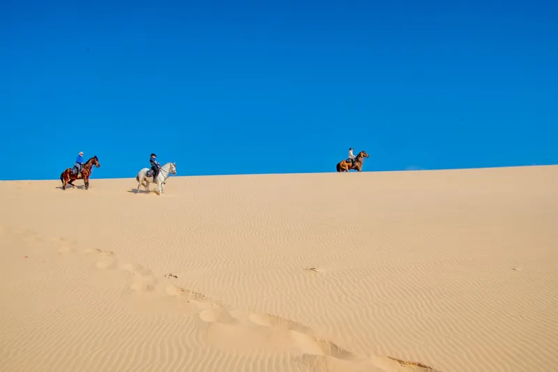 Excursion Dune Blanche à Dakhla