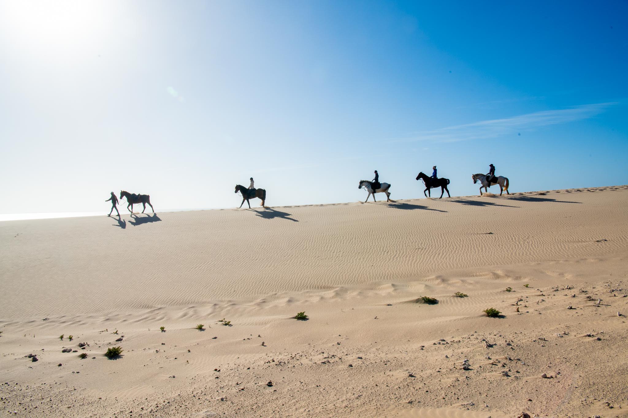 Cavaliers sur la crête d'une dune dans le désert de Dakhla
