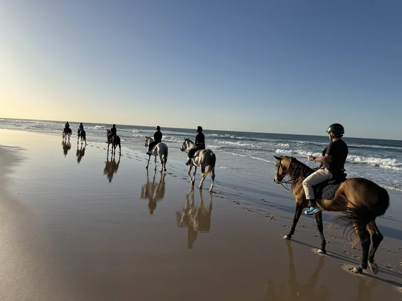 Balade Océan à Dakhla