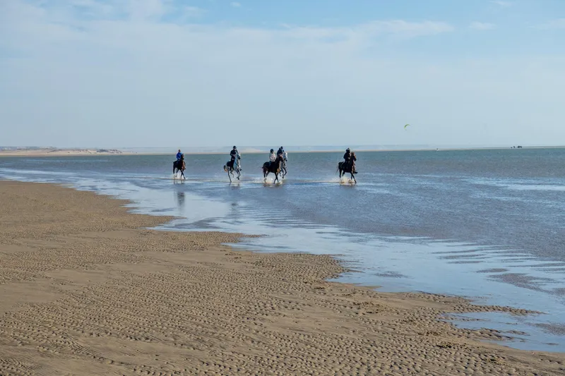 Balade Désert Océan et Lagune à Dakhla