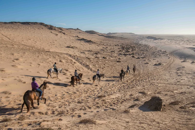 Balade Désert et Océan à Dakhla