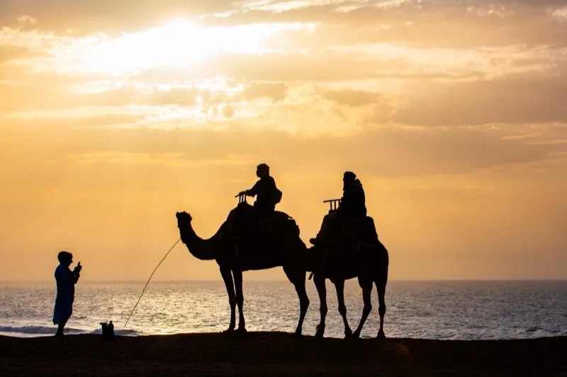 Sunset à dromadaire dans le désert à Dakhla