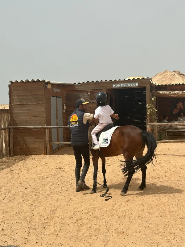 Forfait poney 6 heures à Dakhla