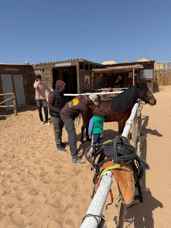 Enfant découvrant un poney au Ranch des Dunes à Dakhla
