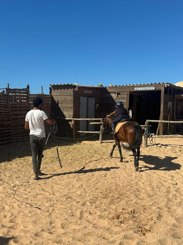 Forfait poney 12 heures à Dakhla