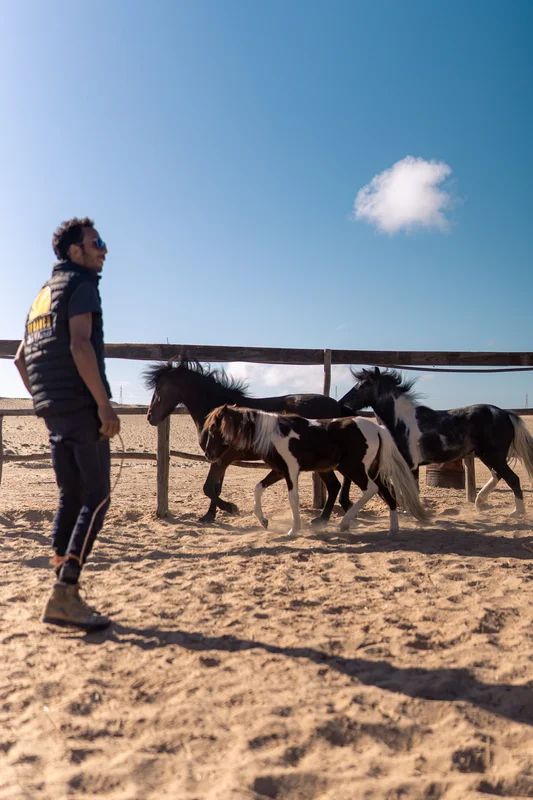 Moniteur avec les poneys dans le paddock du Ranch des Dunes