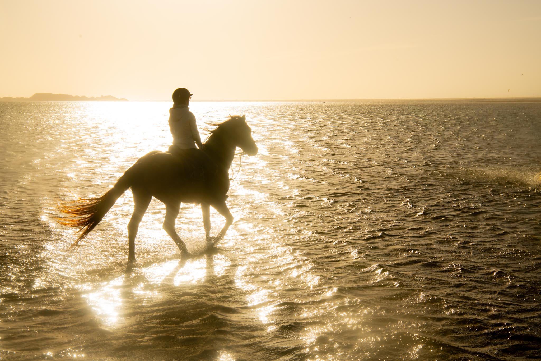 Cavalier à cheval les sabots dans l'eau de la lagune de Dakhla au coucher du soleil