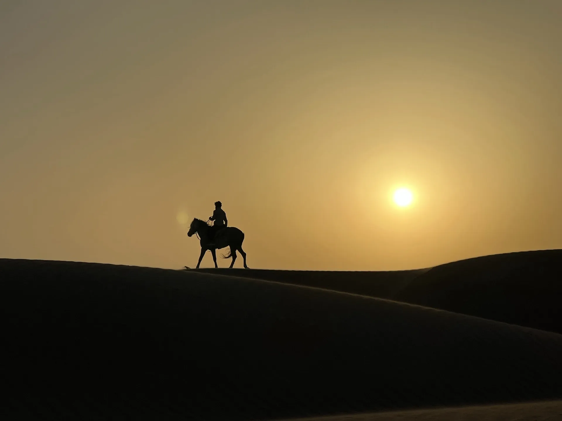 Silhouette d'un cheval sur une dune au coucher du soleil doré à Dakhla